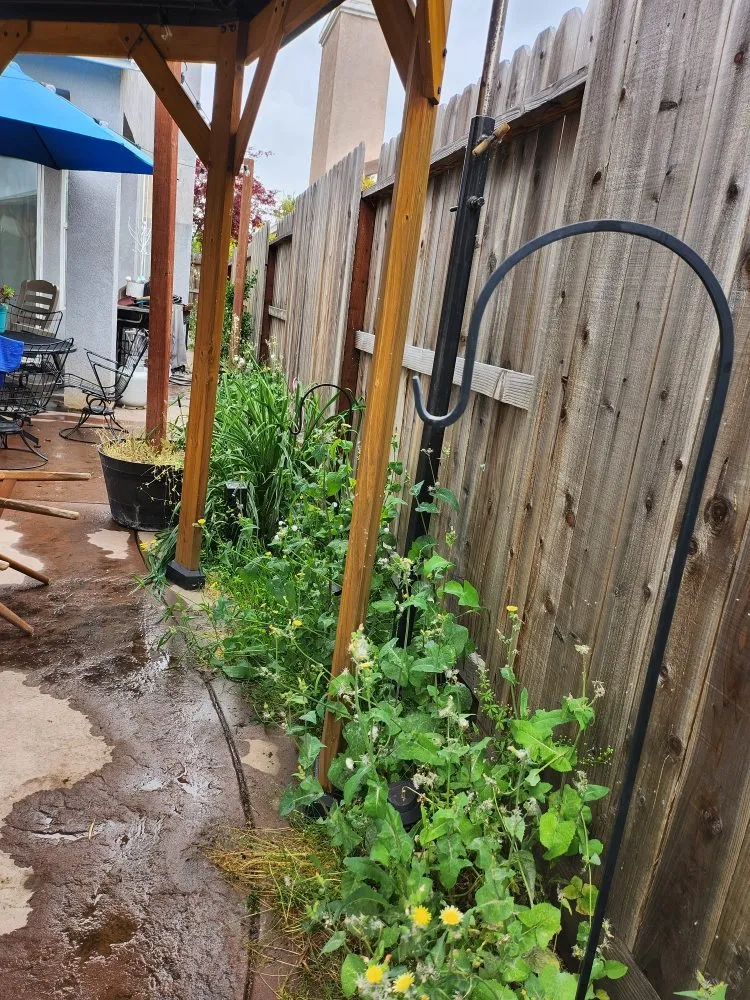 Top-rated landscape installation experts serving Hughson, CA - Negrete's Lawn Care & Landscaping