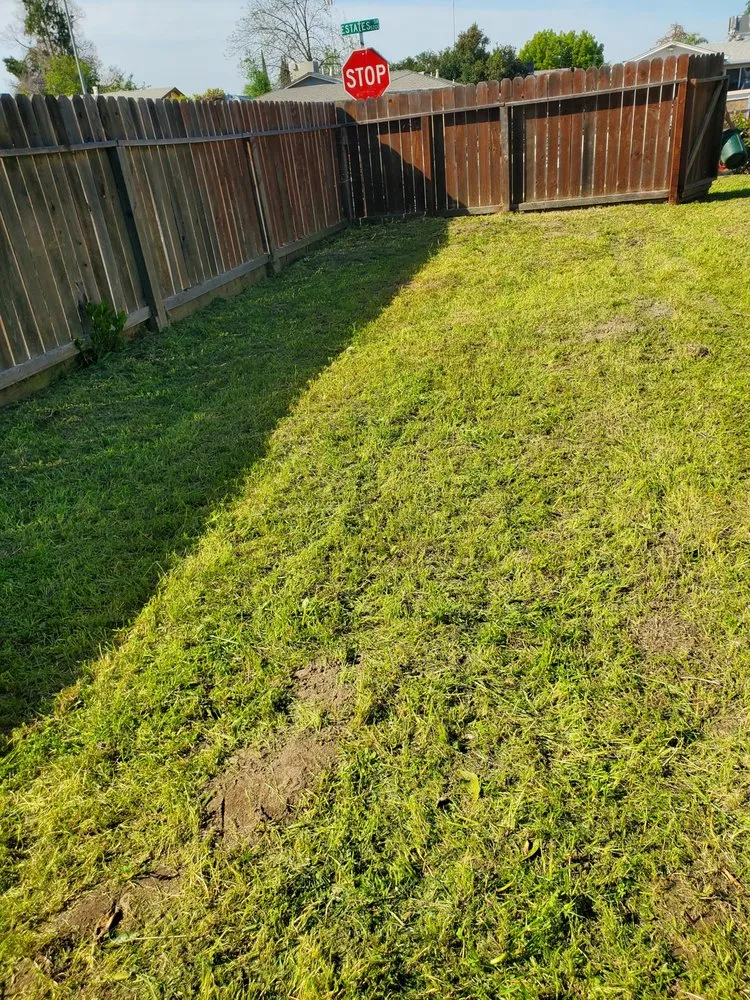 Reliable yard cleanup service with custom design in Hughson, CA by Negrete's Lawn Care & Landscaping