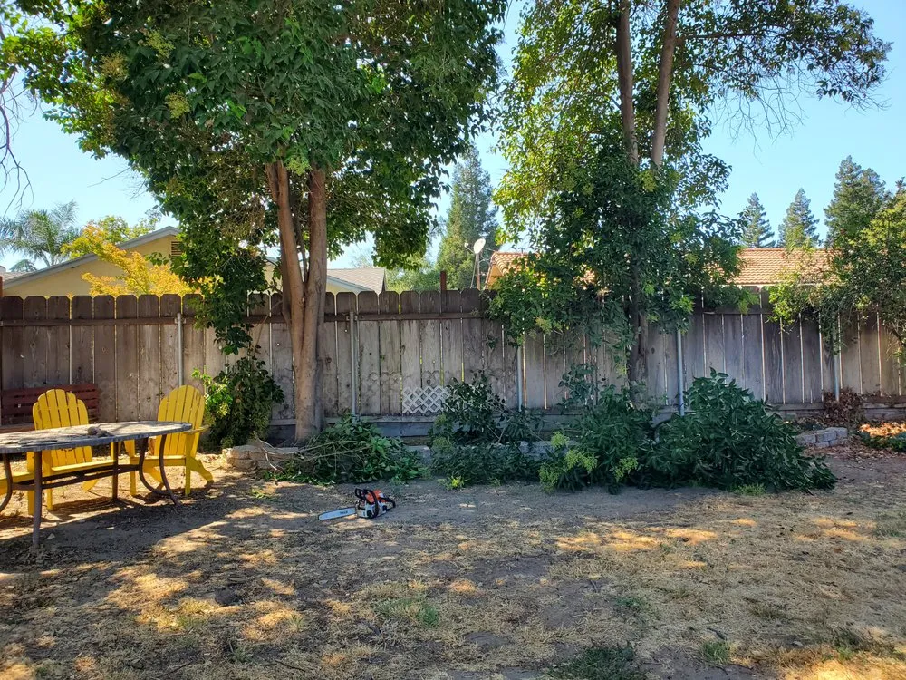 Affordable yard cleanup service experts serving Hughson, CA - Negrete's Lawn Care & Landscaping