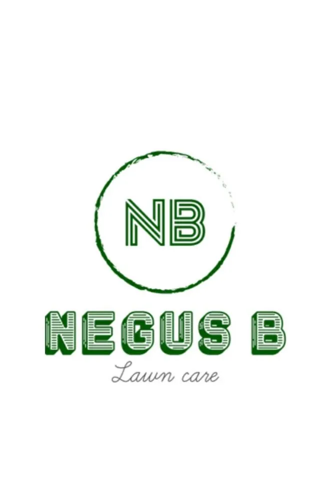 Reliable residential landscaping in Douglasville, GA by Negus B Lawncare