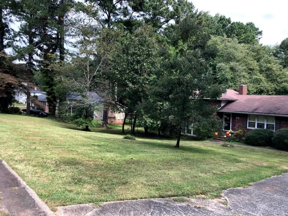 Top-rated yard cleanup service in Douglasville, GA - Negus B Lawncare