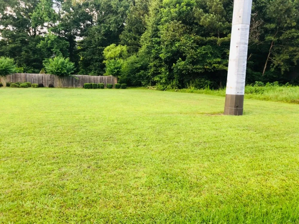 Top-rated yard maintenance for beautiful yards across Douglasville, GA - Negus B Lawncare