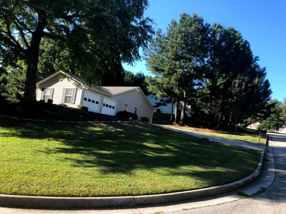 Affordable lawn care service for residential properties in Douglasville, GA by Negus B Lawncare
