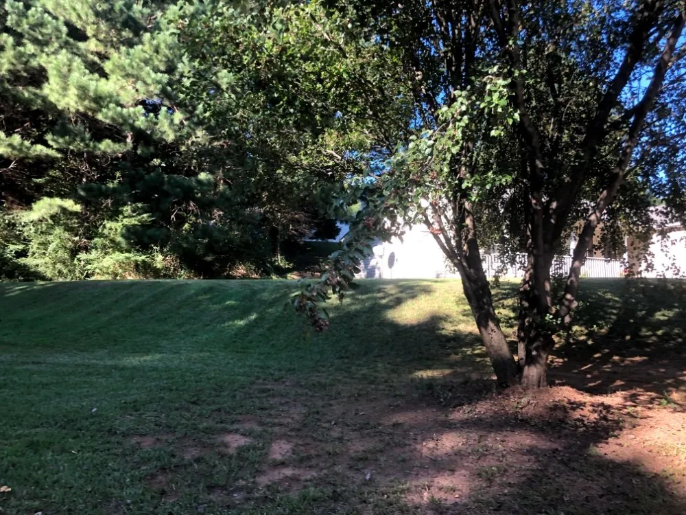 Affordable yard cleanup service experts serving Douglasville, GA - Negus B Lawncare