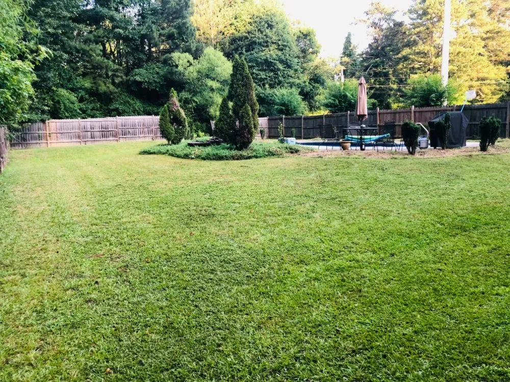 Expert yard maintenance in Douglasville, GA - Negus B Lawncare