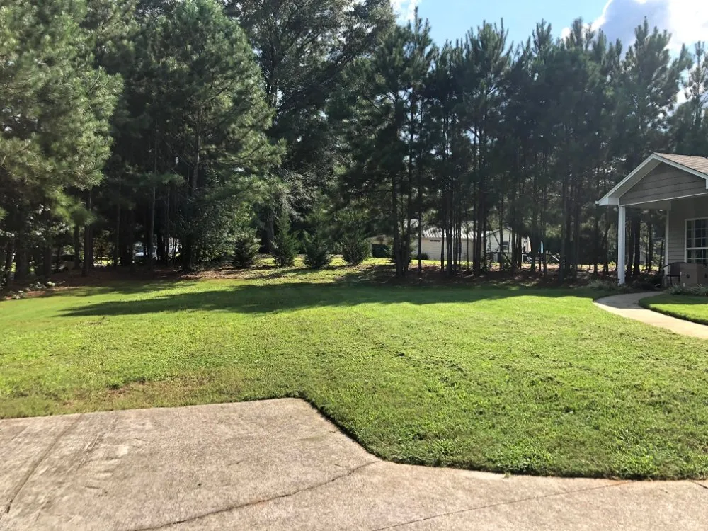 Expert lawn mowing service for year-round maintenance in Douglasville, GA by Negus B Lawncare