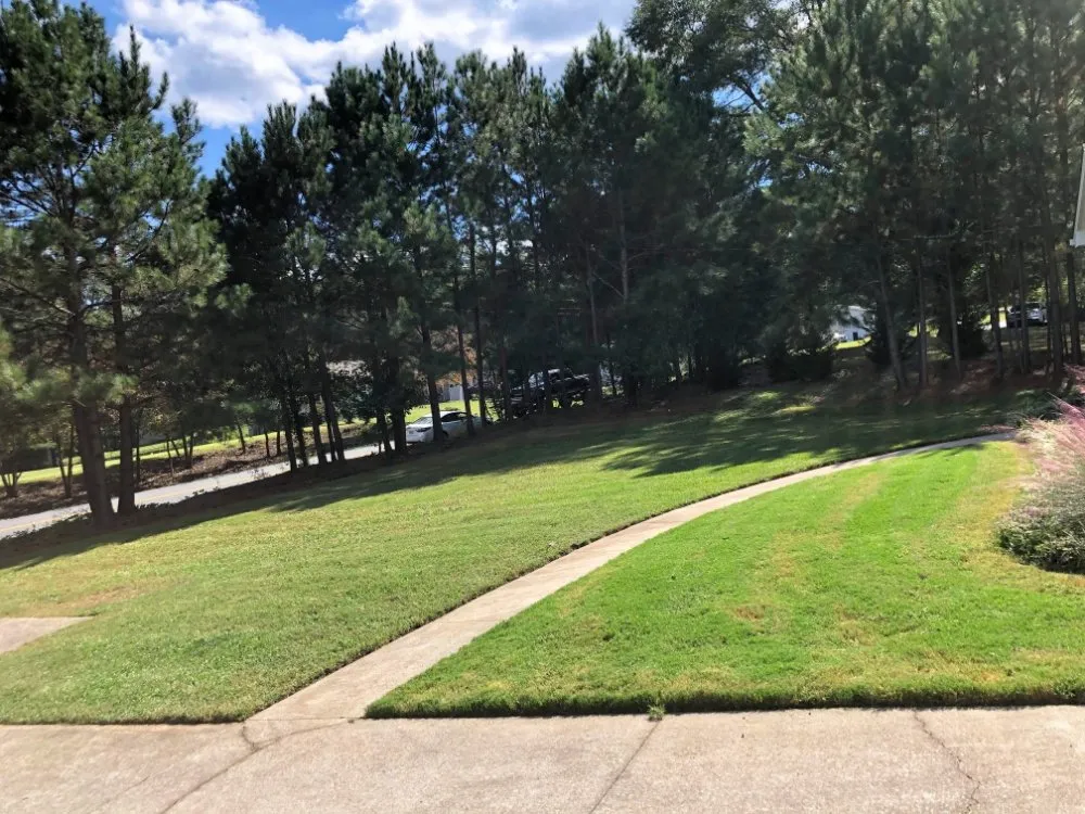 Affordable lawn mowing service for outdoor upgrades in Douglasville, GA by Negus B Lawncare