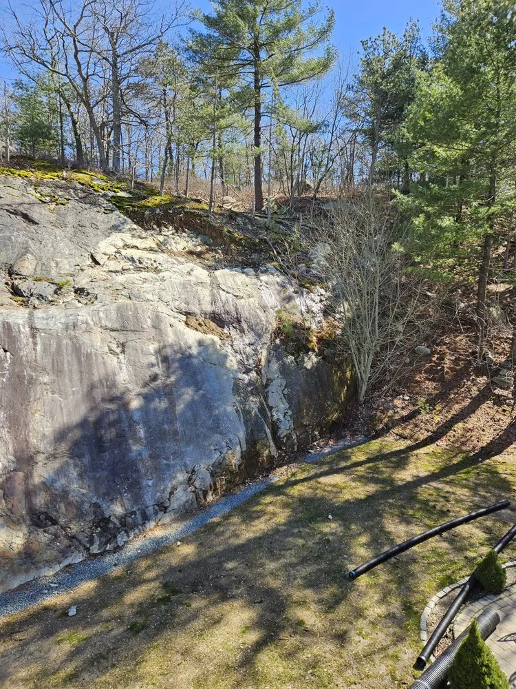 Expert yard cleanup service experts serving Lynn, MA - Nehemias Landscaping & Construction