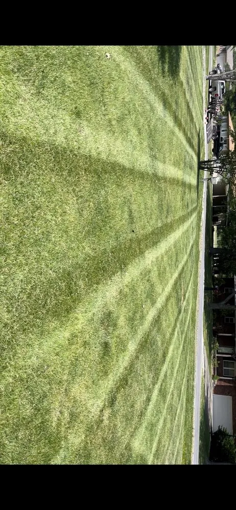 Expert yard cleanup service in Mt Vernon, IL - Nehrt Lawn & Outdoor Services