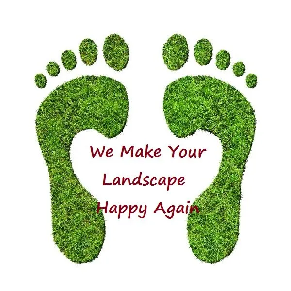 Affordable lawn care service in Lakeland, FL - Neide's Lawn & Landscape