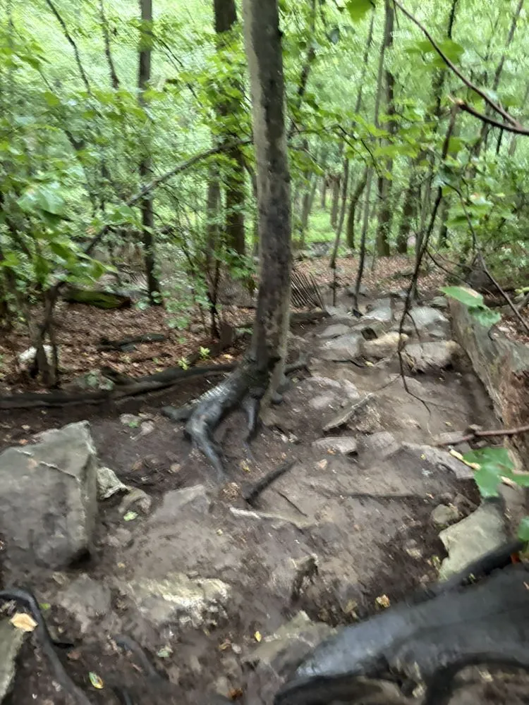 Trusted residential landscaping experts serving Statesville, NC - Neighbor boys