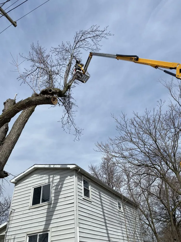 Custom yard maintenance for outdoor upgrades across Holland, OH - Neighbor Labor Lawncare Plus