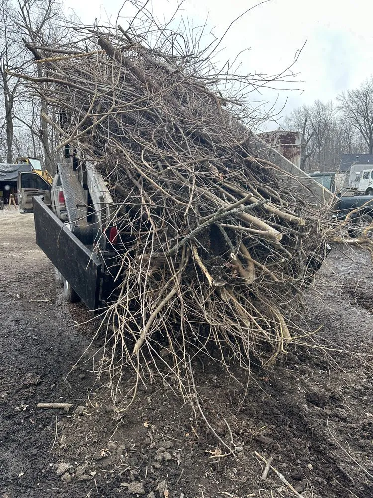 Top-rated yard maintenance in Holland, OH - Neighbor Labor Lawncare Plus