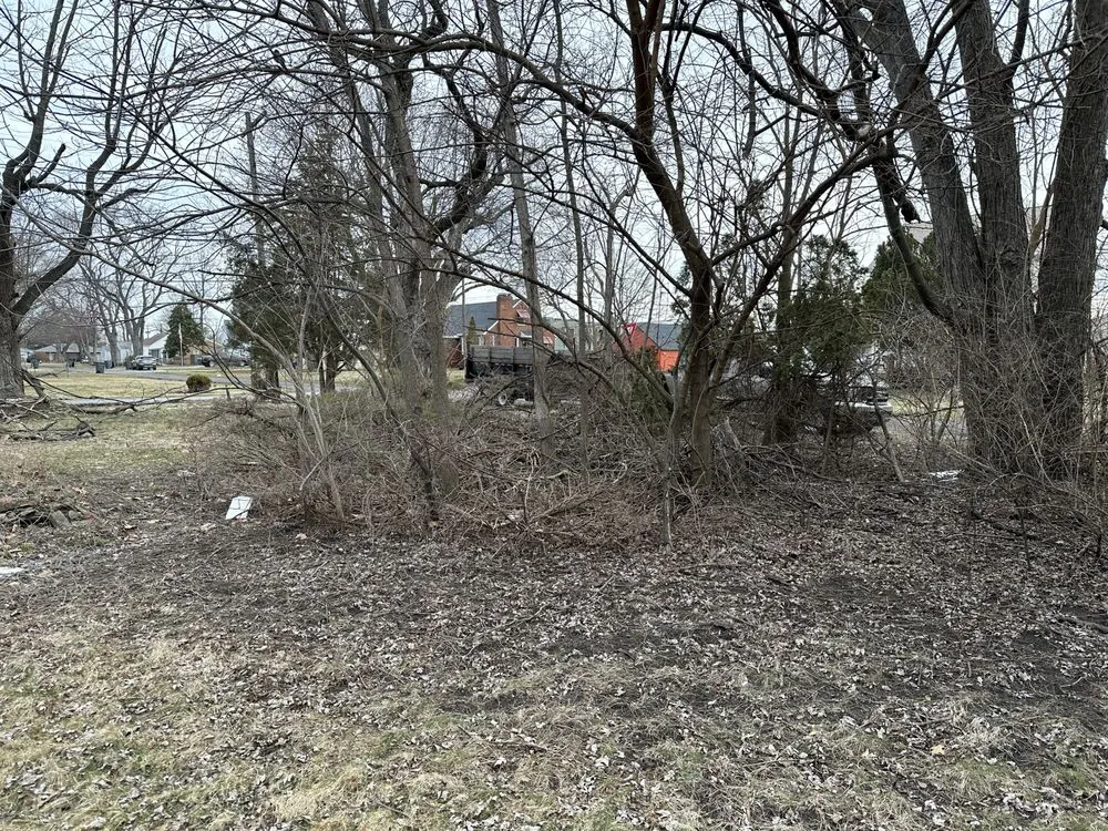 Professional yard cleanup service in Holland, OH by Neighbor Labor Lawncare Plus