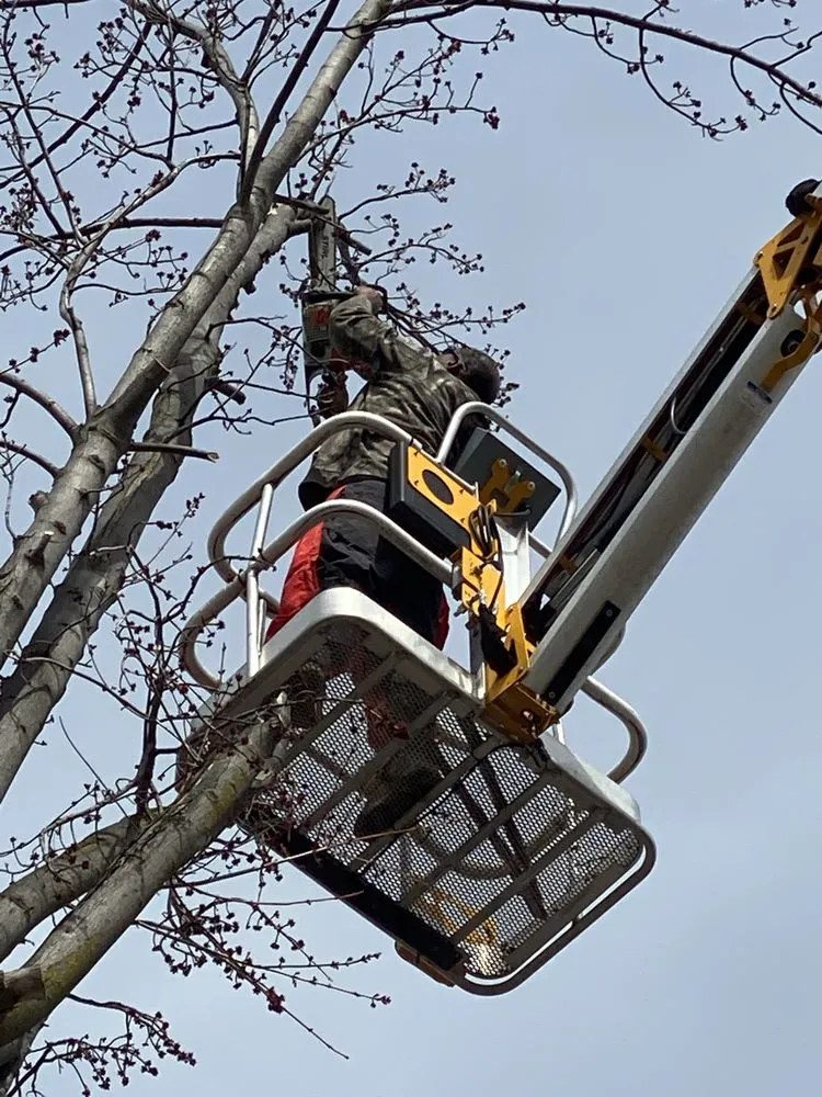 Local landscaping services for beautiful yards in Holland, OH by Neighbor Labor Lawncare Plus