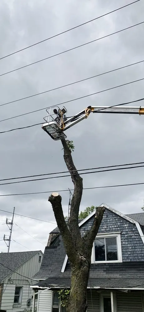 Local landscape design for homes across Holland, OH - Neighbor Labor Lawncare Plus