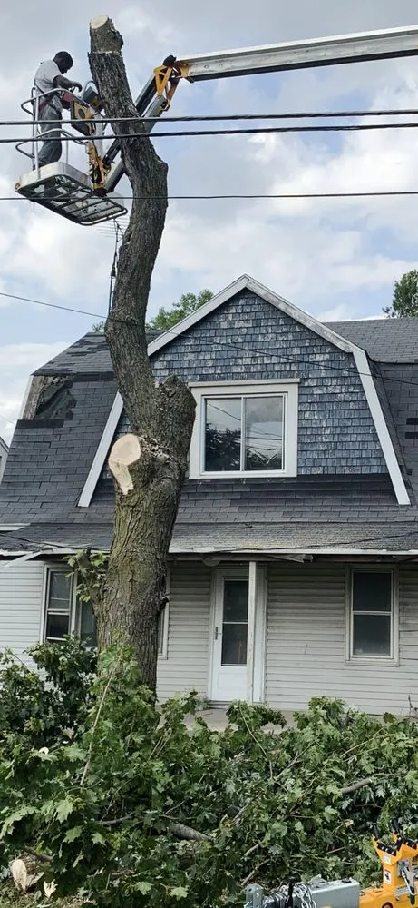 Affordable yard maintenance experts serving Holland, OH - Neighbor Labor Lawncare Plus