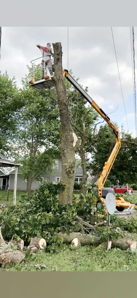 Expert landscape installation experts serving Holland, OH - Neighbor Labor Lawncare Plus