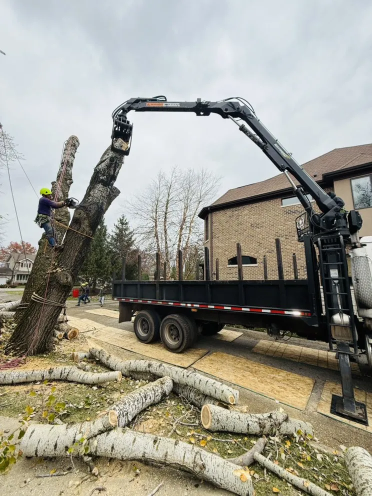 Top-rated lawn care service for outdoor upgrades in Palatine, IL by Neighbor Tree Service