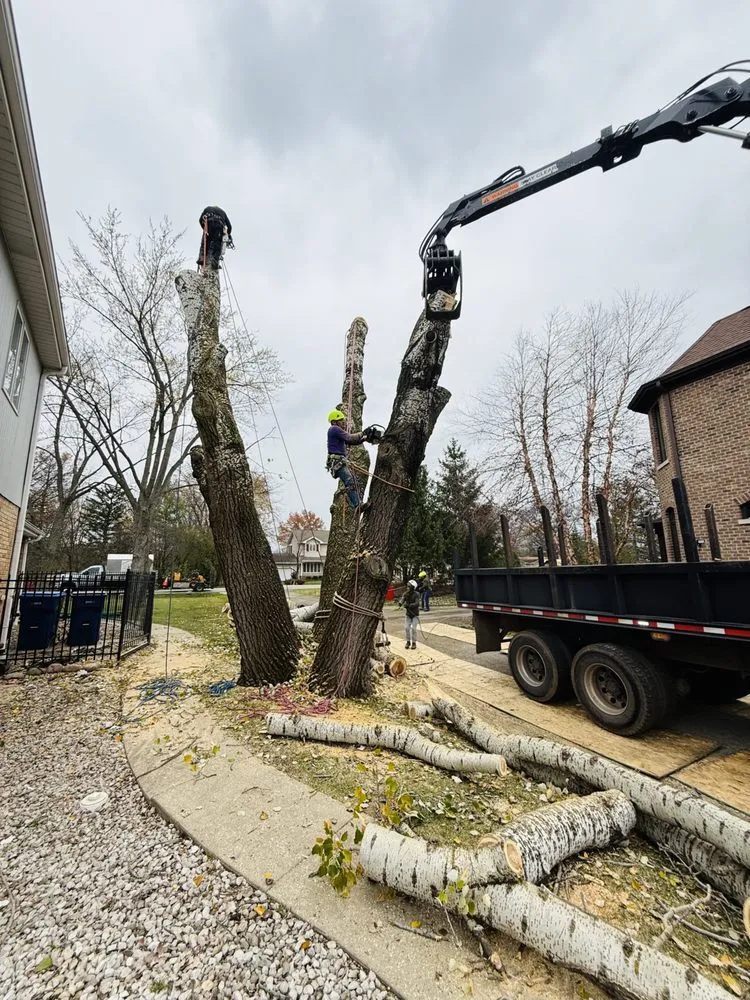 Top-rated landscape design with custom design across Palatine, IL - Neighbor Tree Service