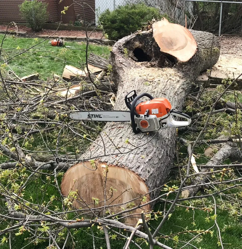 Custom landscape design for outdoor upgrades across Palatine, IL - Neighbor Tree Service