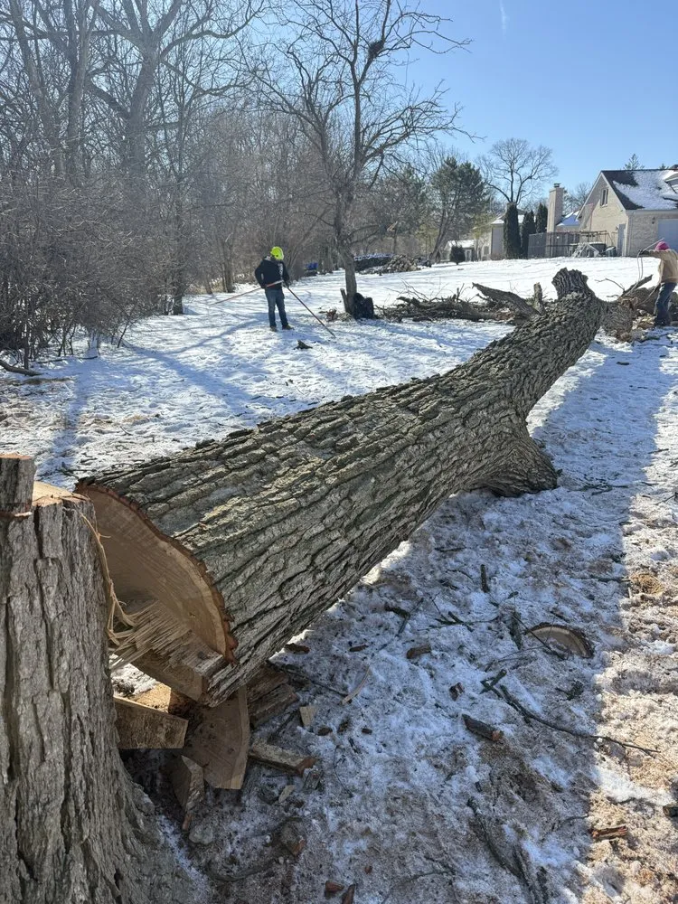 Top-rated residential landscaping for homes in Palatine, IL by Neighbor Tree Service