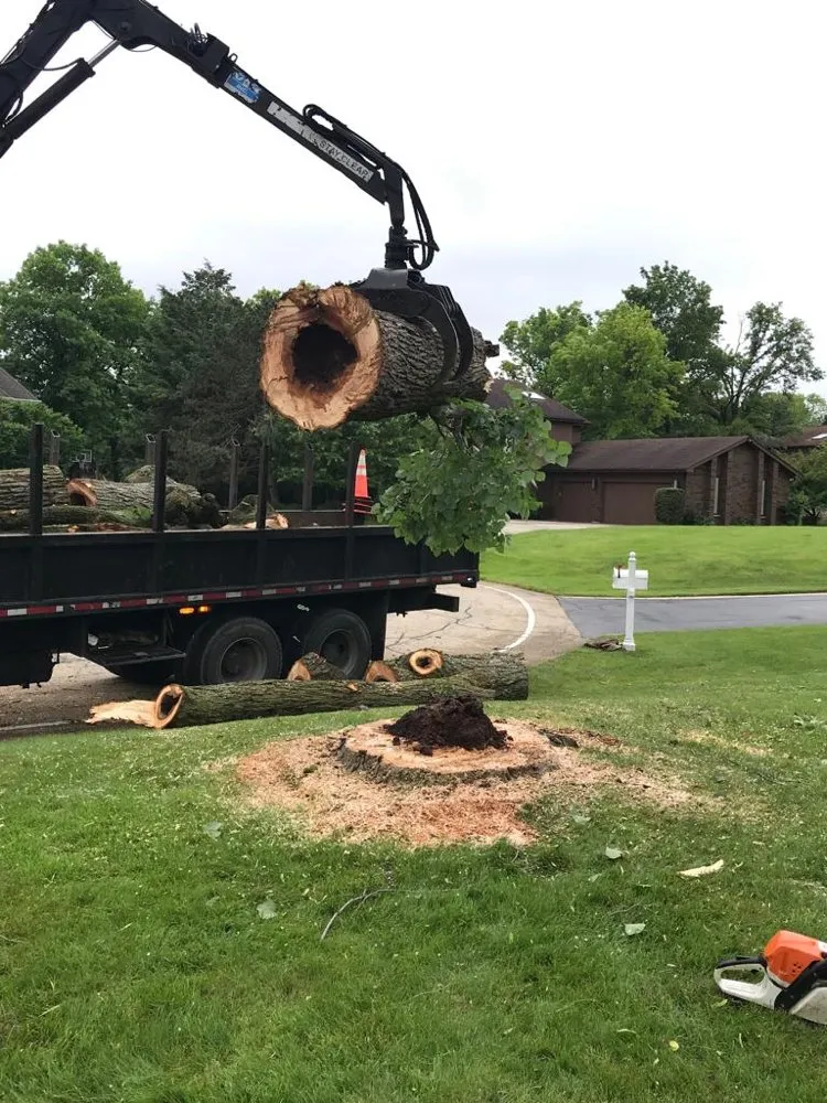 Expert yard maintenance with custom design in Palatine, IL by Neighbor Tree Service