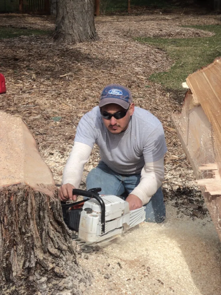 Expert landscaping services in Palatine, IL - Neighbor Tree Service