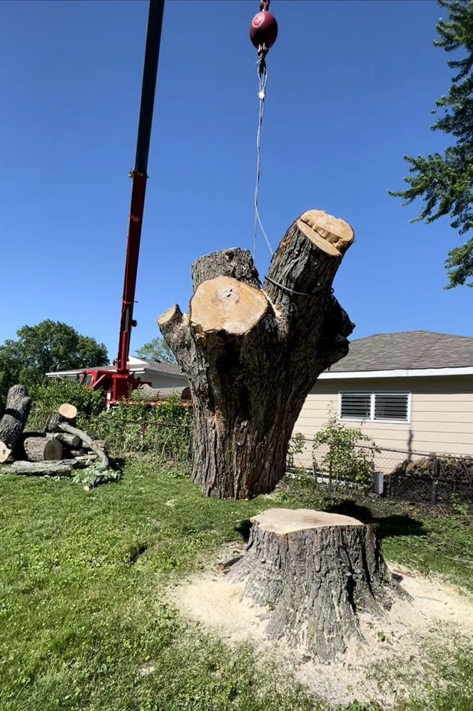 Trusted landscaping services in Palatine, IL by Neighbor Tree Service