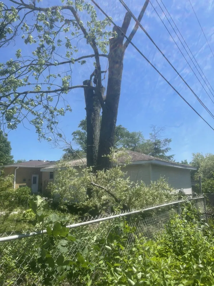 Professional landscaping services for residential properties across Palatine, IL - Neighbor Tree Service