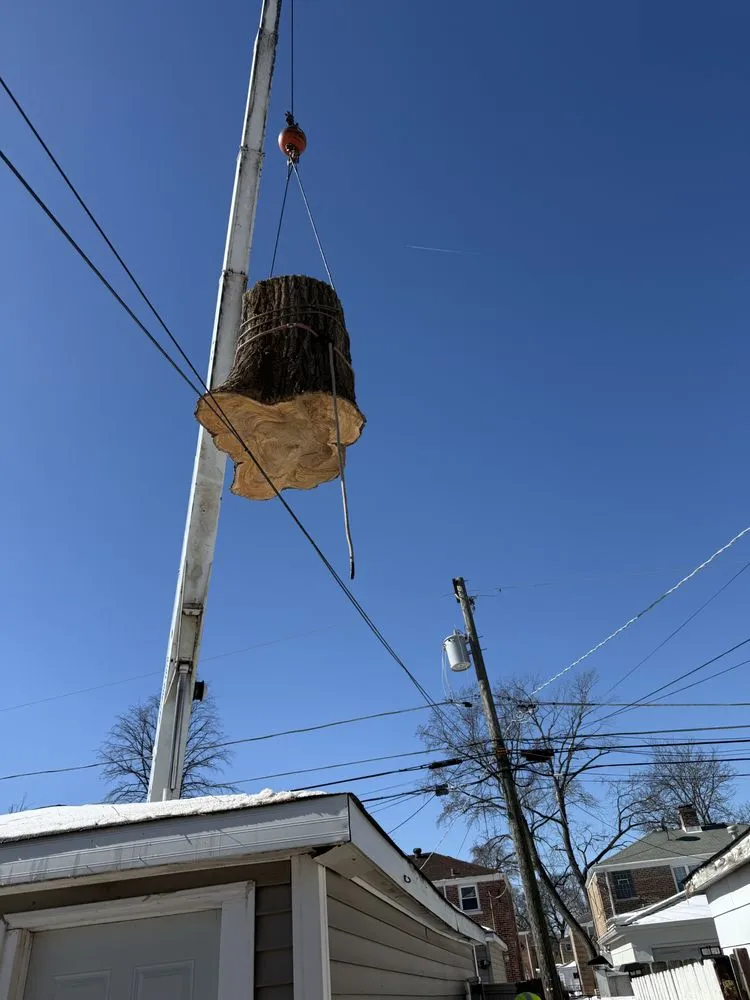 Affordable yard maintenance for year-round maintenance in Palatine, IL by Neighbor Tree Service