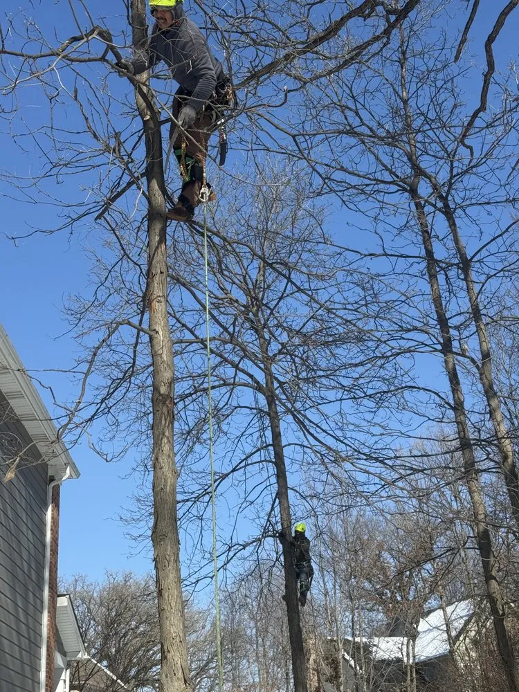 Reliable landscaping services experts serving Palatine, IL - Neighbor Tree Service