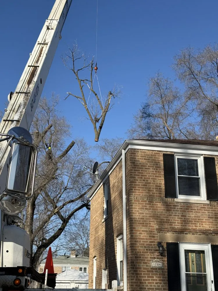 Trusted garden landscaping for beautiful yards across Palatine, IL - Neighbor Tree Service