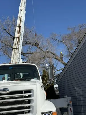 Neighbor Tree Service