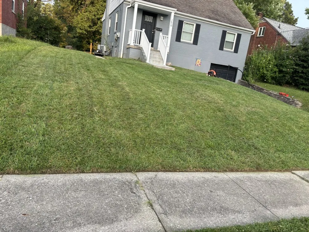 Affordable landscape installation for residential properties in Cincinnati, OH by Neighborhood 2 Neighborhood Lawncare