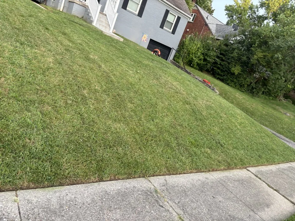 Expert garden landscaping in Cincinnati, OH - Neighborhood 2 Neighborhood Lawncare
