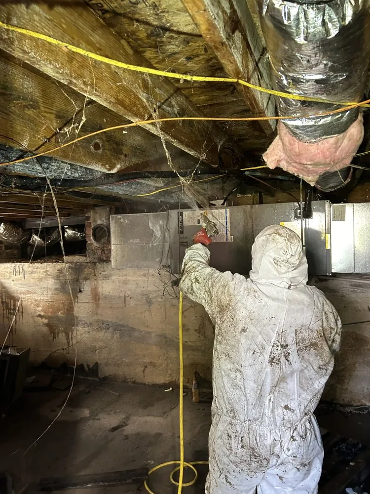 Local residential landscaping in Chesterfield, VA by Neighborhood Art