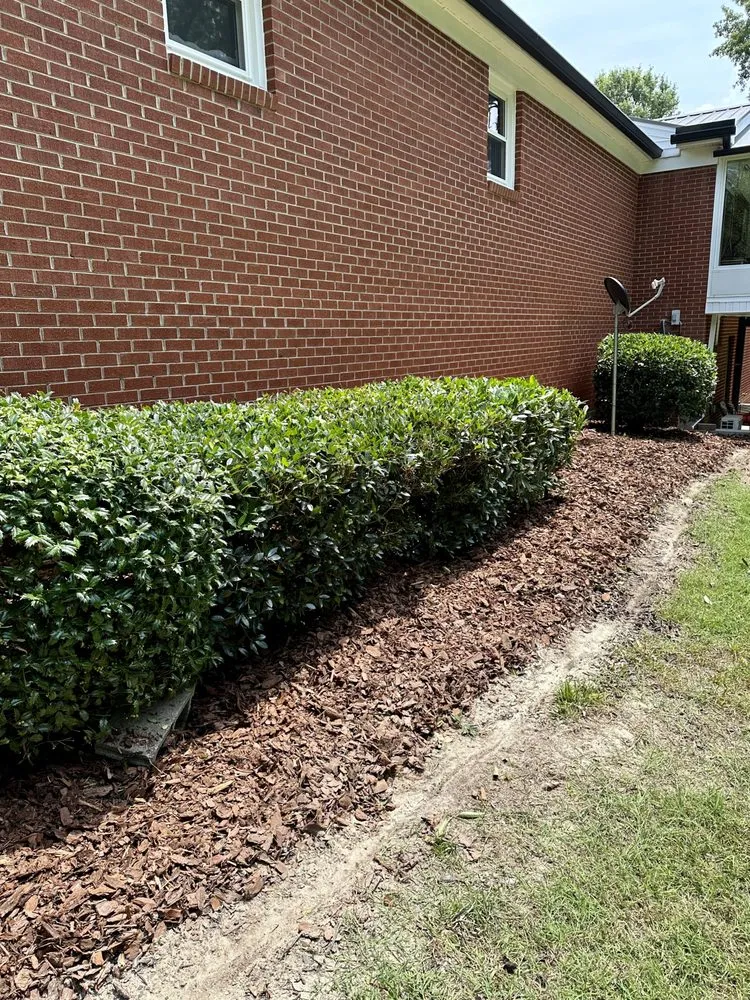 Trusted lawn care service experts serving Raleigh, NC - Neighborhood Foodscapes & Lawn