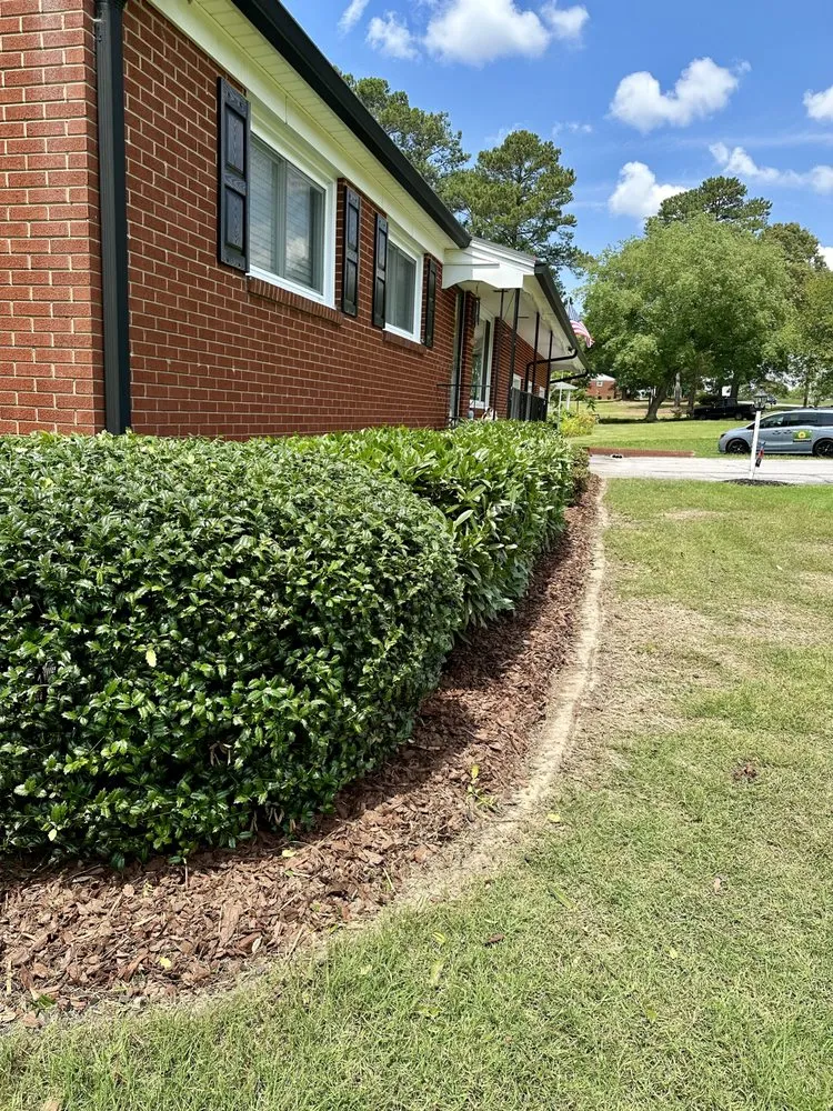 Professional yard cleanup service experts serving Raleigh, NC - Neighborhood Foodscapes & Lawn