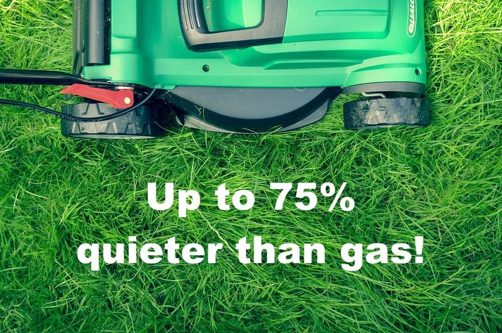 Affordable garden landscaping for residential properties in Raleigh, NC by Neighborhood Foodscapes & Lawn