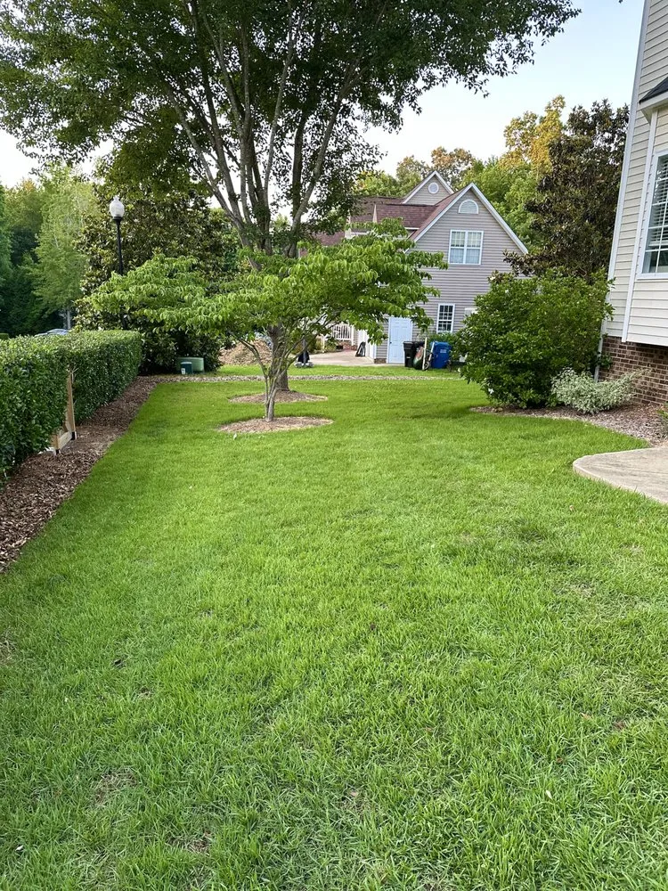 Reliable landscaping services for beautiful yards across Raleigh, NC - Neighborhood Foodscapes & Lawn