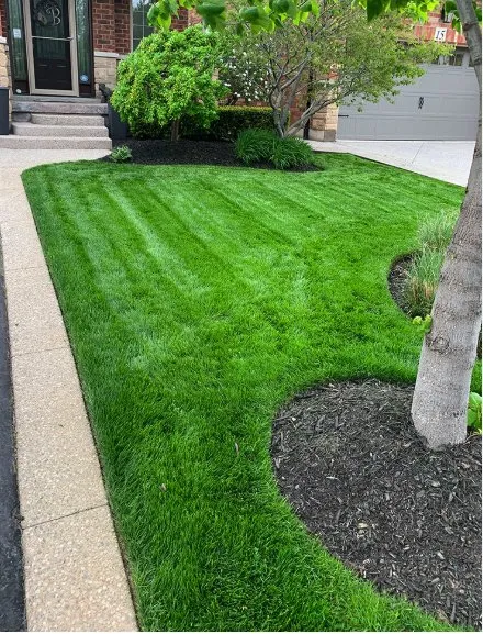 Reliable landscaping services in Sioux Falls, SD - Neighborhood Handyman