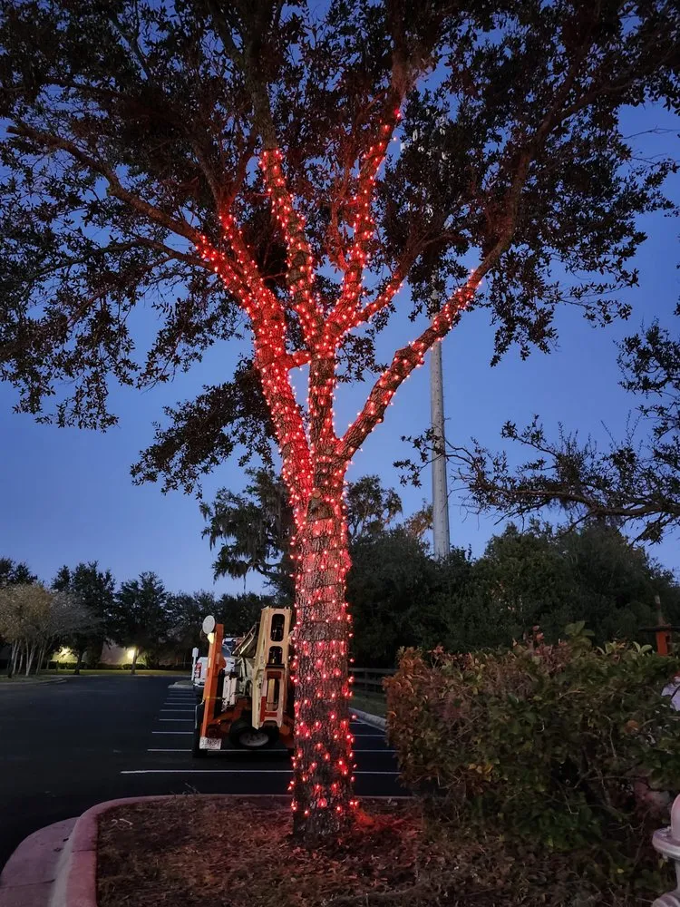 Reliable yard cleanup service experts serving Yulee, FL - Neighborhood Jimmy - NJ Service Group