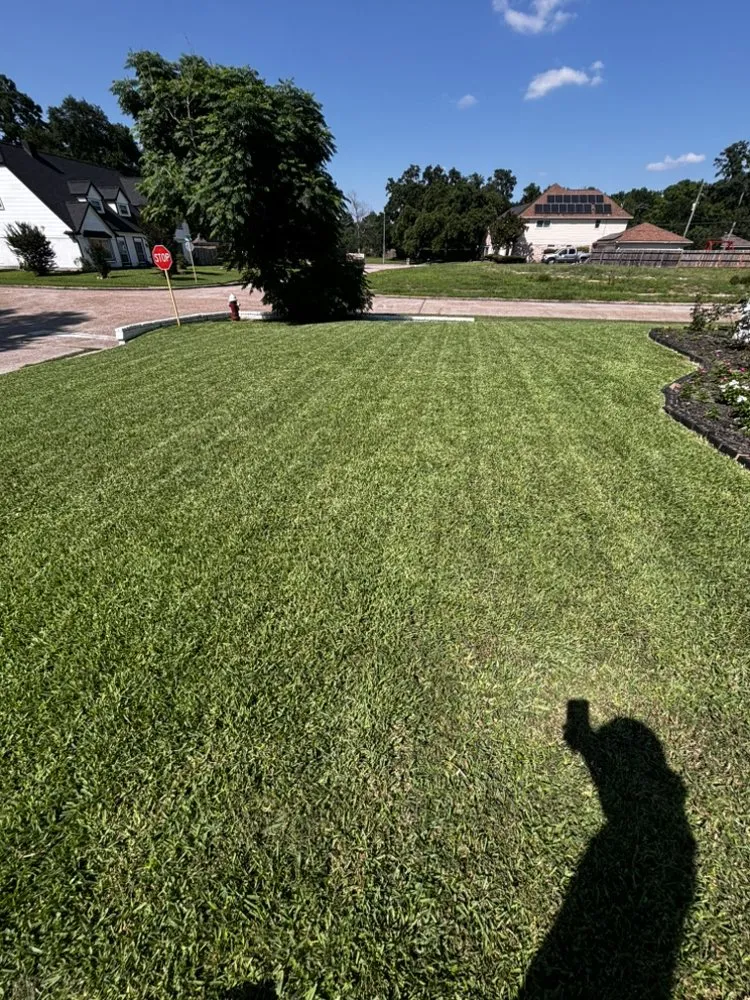 Professional yard maintenance experts serving Houston, TX - Neighborhood landscapers