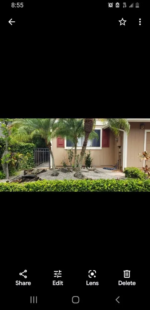 Expert landscape design for year-round maintenance in Waipahu, HI by Neighborhood Landscaping Maintenace