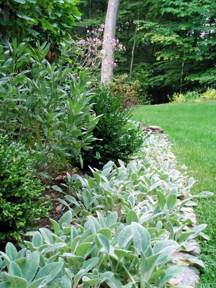 Top-rated landscape design for outdoor upgrades across Southfield, MI - Neighborhood Landscaping