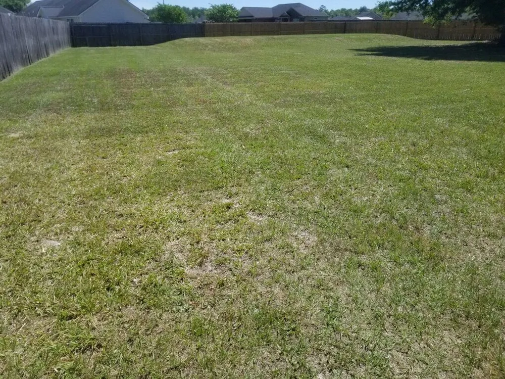 Local yard cleanup service in Hinesville, GA - Neighborhood Lawn Care & Maintenance