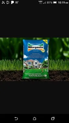 Neighborhood Lawn Care & Maintenance Logo