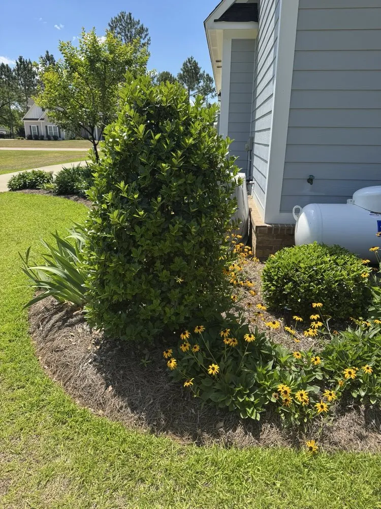 Professional outdoor landscaping for residential properties across Leesburg, GA - Neighborhood Lawn Care