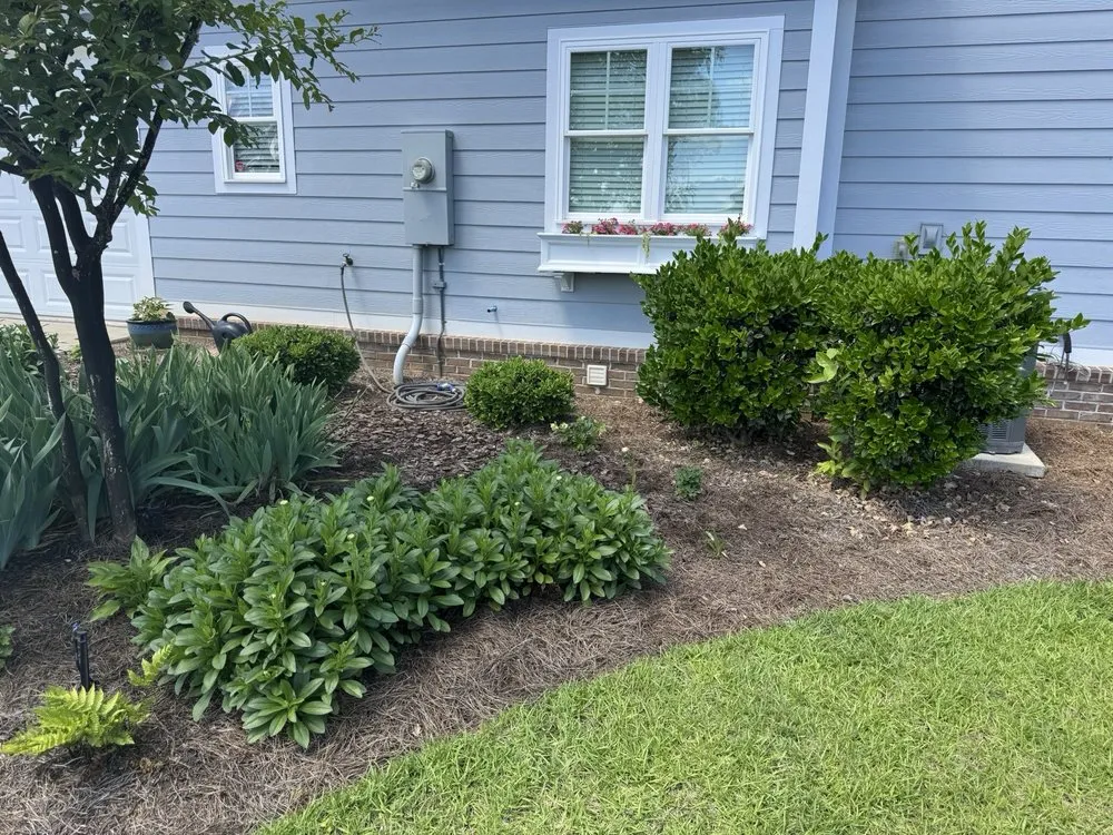 Professional yard maintenance in Leesburg, GA by Neighborhood Lawn Care